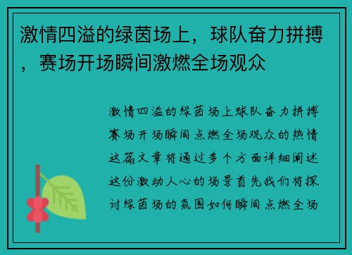 激情四溢的绿茵场上，球队奋力拼搏，赛场开场瞬间激燃全场观众