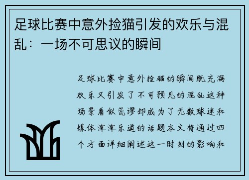 足球比赛中意外捡猫引发的欢乐与混乱：一场不可思议的瞬间