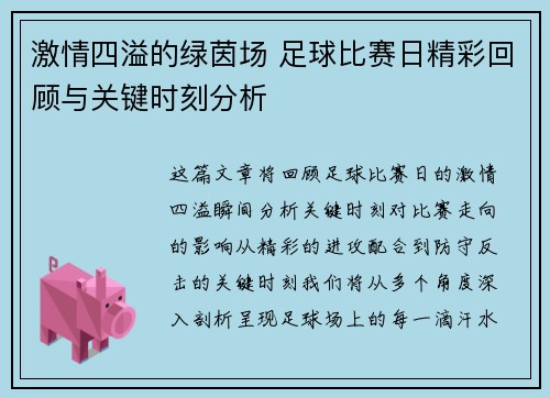 激情四溢的绿茵场 足球比赛日精彩回顾与关键时刻分析