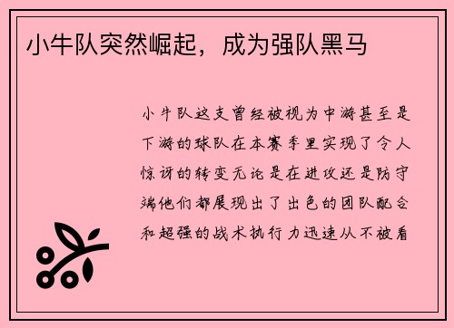 小牛队突然崛起，成为强队黑马