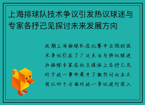 上海排球队技术争议引发热议球迷与专家各抒己见探讨未来发展方向