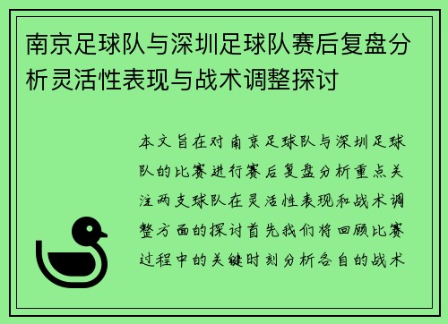 南京足球队与深圳足球队赛后复盘分析灵活性表现与战术调整探讨
